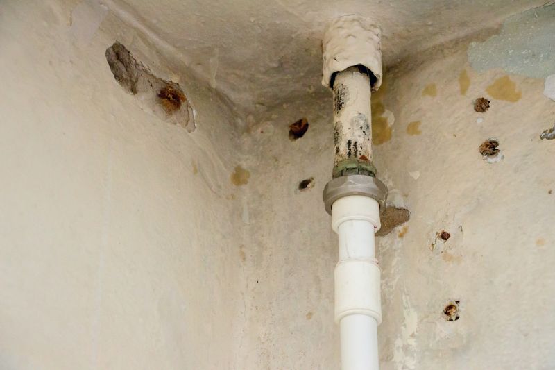 Signs A Broken Drain Line May Be Causing Plumbing Problems